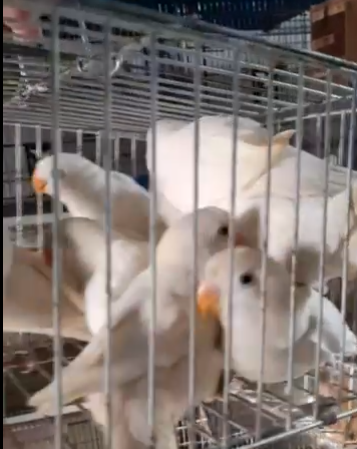 333333333333333333333333