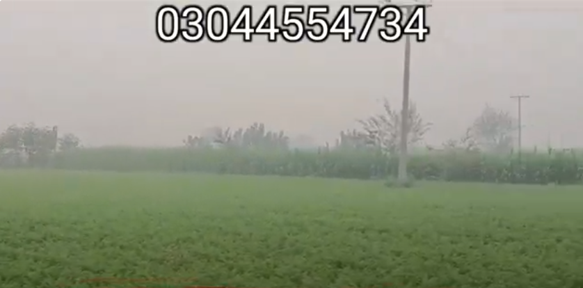 3333333333333333333333333