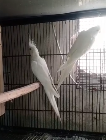 333333333333333333333333333-1