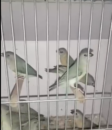 333333333333333333333333333