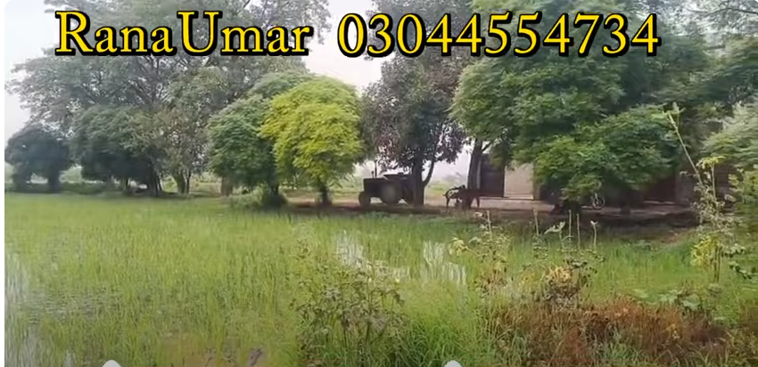 333333333333333333333333333333