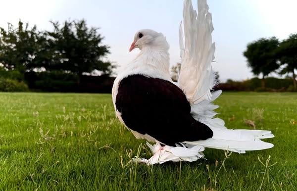 444444444444444444444444-1