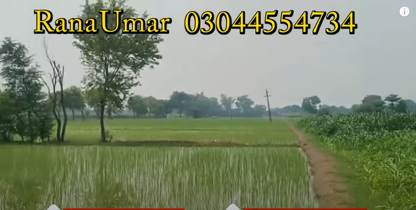 444444444444444444444444