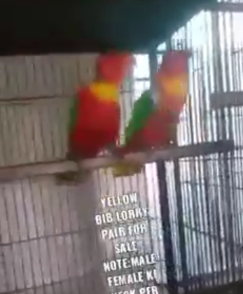 44444444444444444444444444