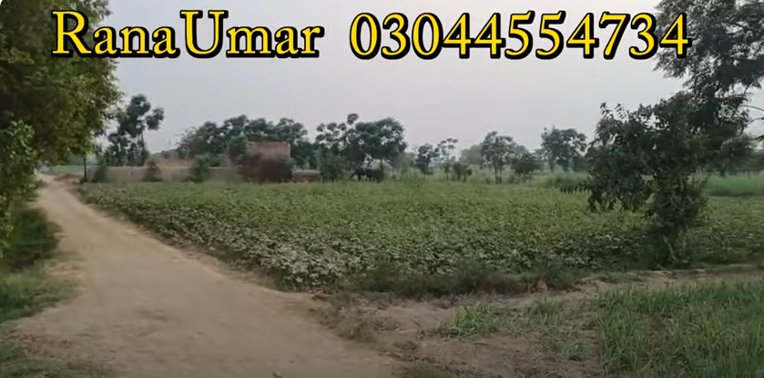 444444444444444444444444444