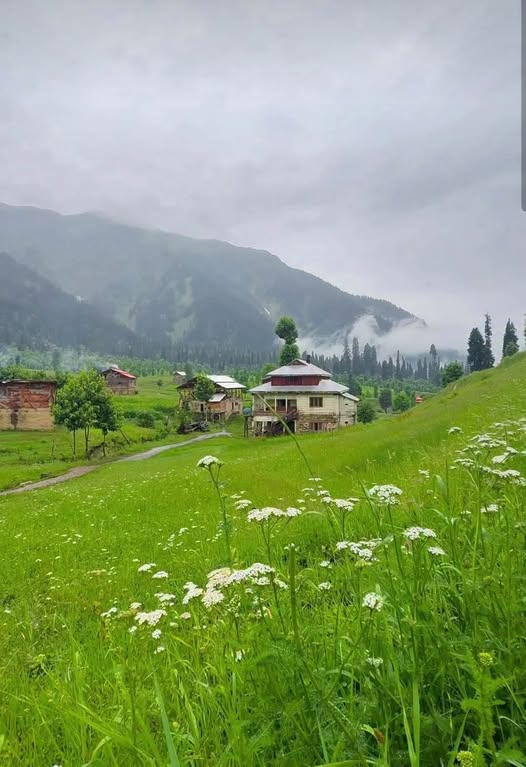 5555555555555555555555-1