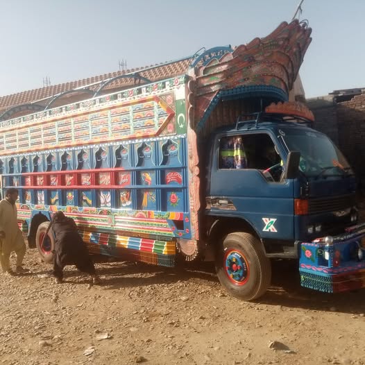 555555555555555555555555-12