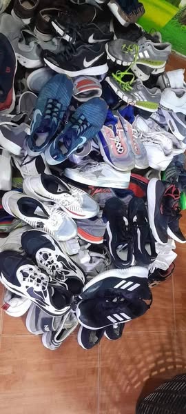 555555555555555555555555-5