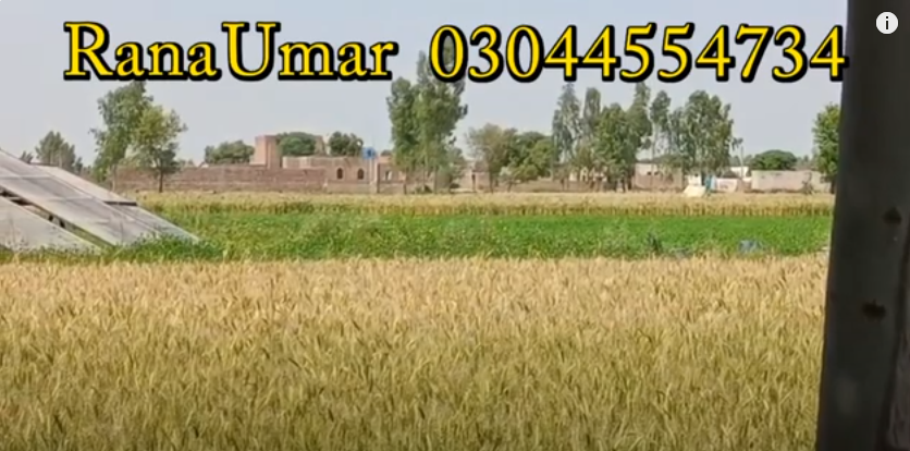 55555555555555555555555555-1