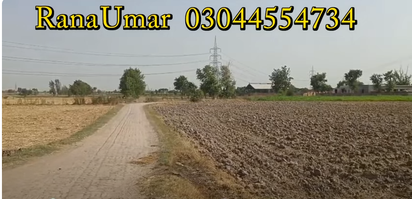 55555555555555555555555555