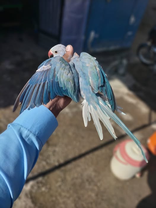 555555555555555555555555555