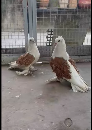 555555555555555555555555555