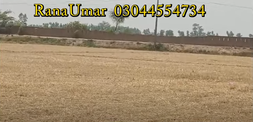 5555555555555555555555555555-2