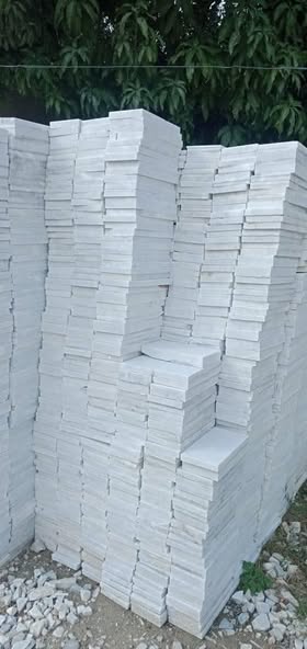 6666666666666666666-1