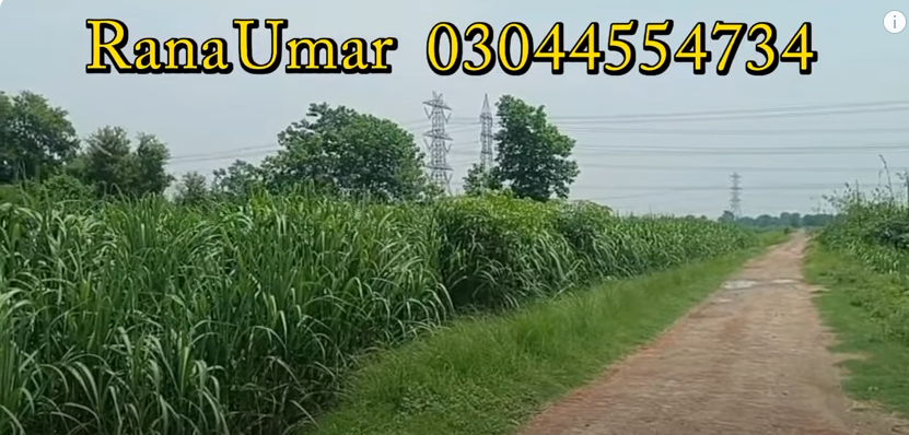 66666666666666666666666