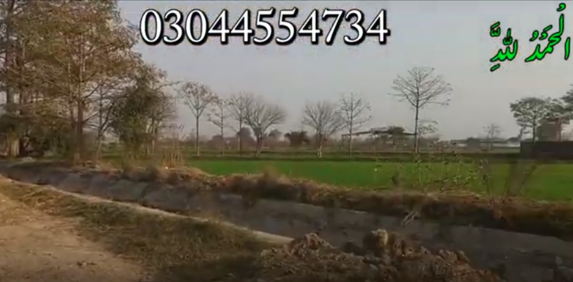 666666666666666666666666-1