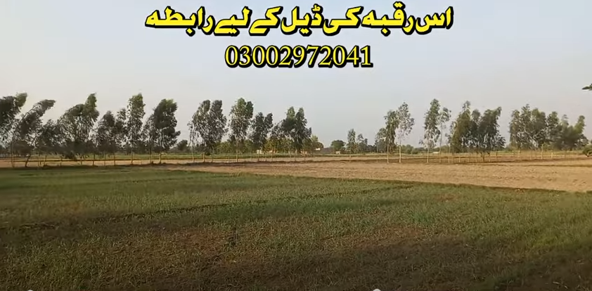 6666666666666666666666666-2