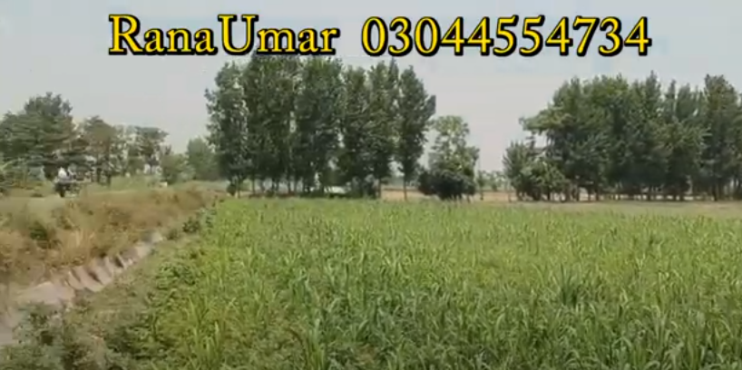 77777777777777777777777