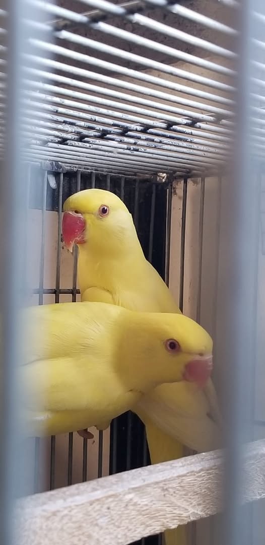 777777777777777777777777777