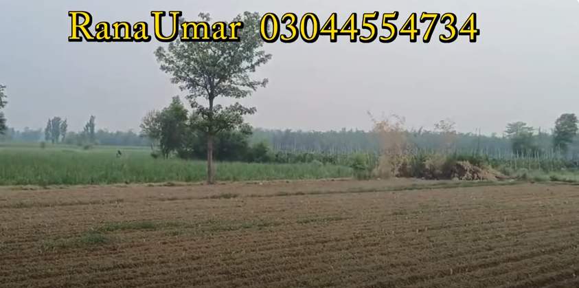 7777777777777777777777777777777