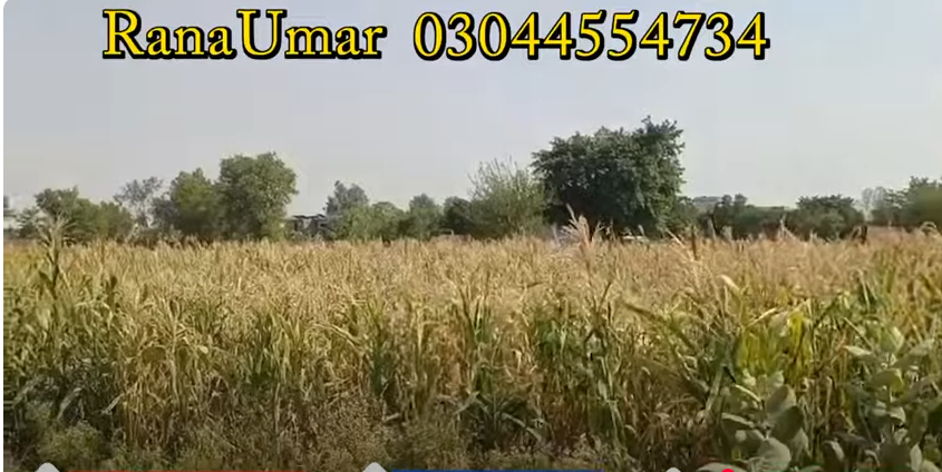 8888888888888888888888