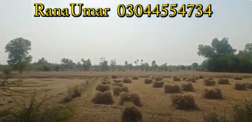 8888888888888888888888888