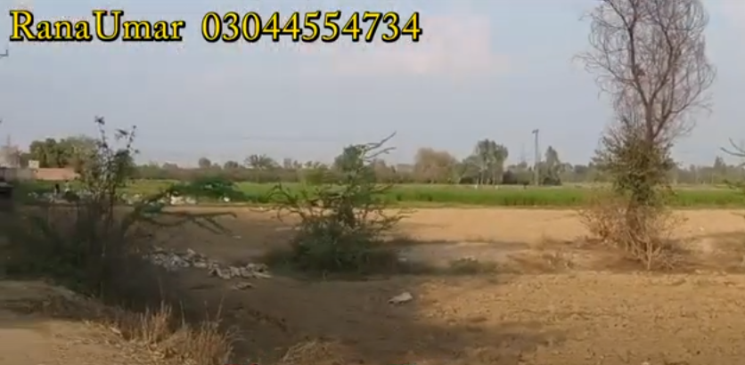 88888888888888888888888888