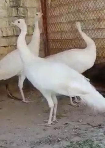 888888888888888888888888888