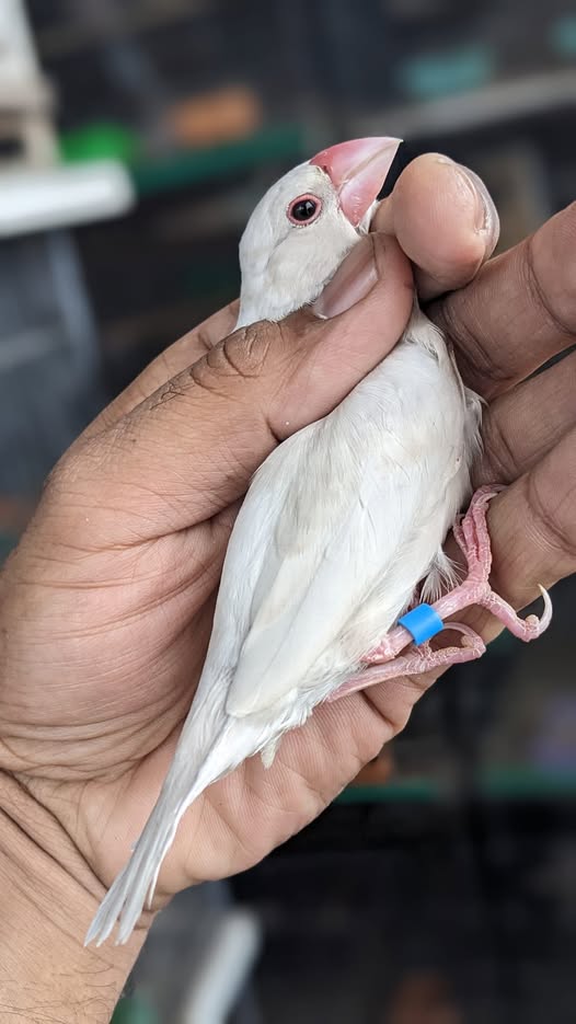 8888888888888888888888888888