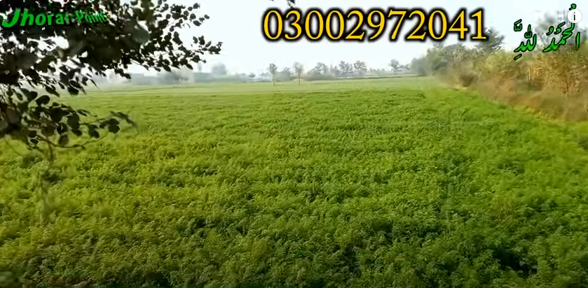 999999999999999999999999