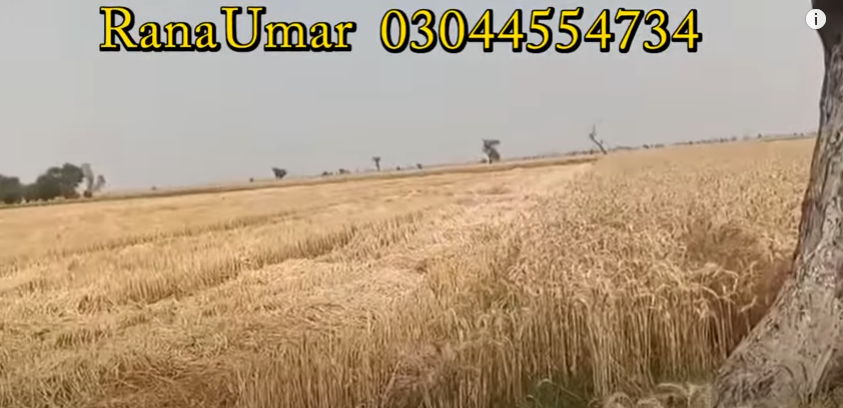 999999999999999999999999999-1