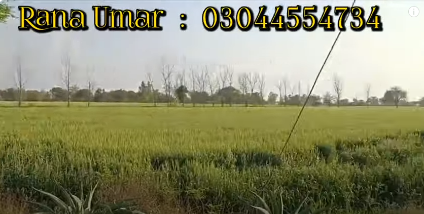 99999999999999999999999999999999